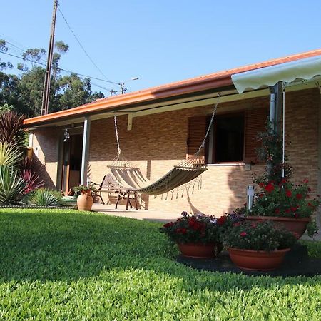 Casa Flor Da Laranjeira Pensionat Ponte de Lima Exteriör bild